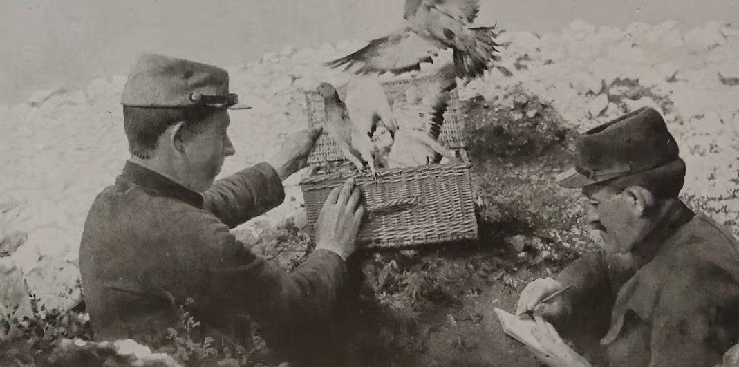 Những "chiến binh có cánh" cứu hàng vạn sinh mạng trong Thế chiến I